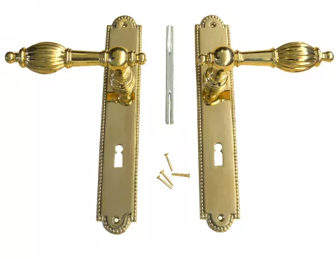 Trgriff mit Langschild Set BB PZ Lochung