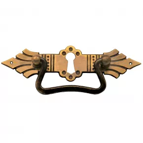 Griffschild mit Schlsselloch 120 x 31mm Messingblech