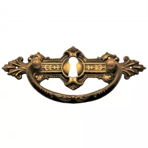 Griffschild mit Schlsselloch 115 x 38mm Messingblech